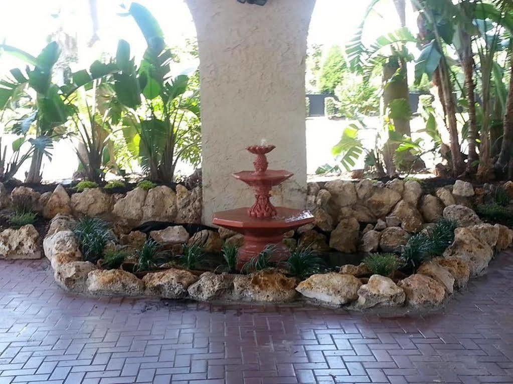 Vista Inn Lake Tarpon Palm Harbor Buitenkant foto